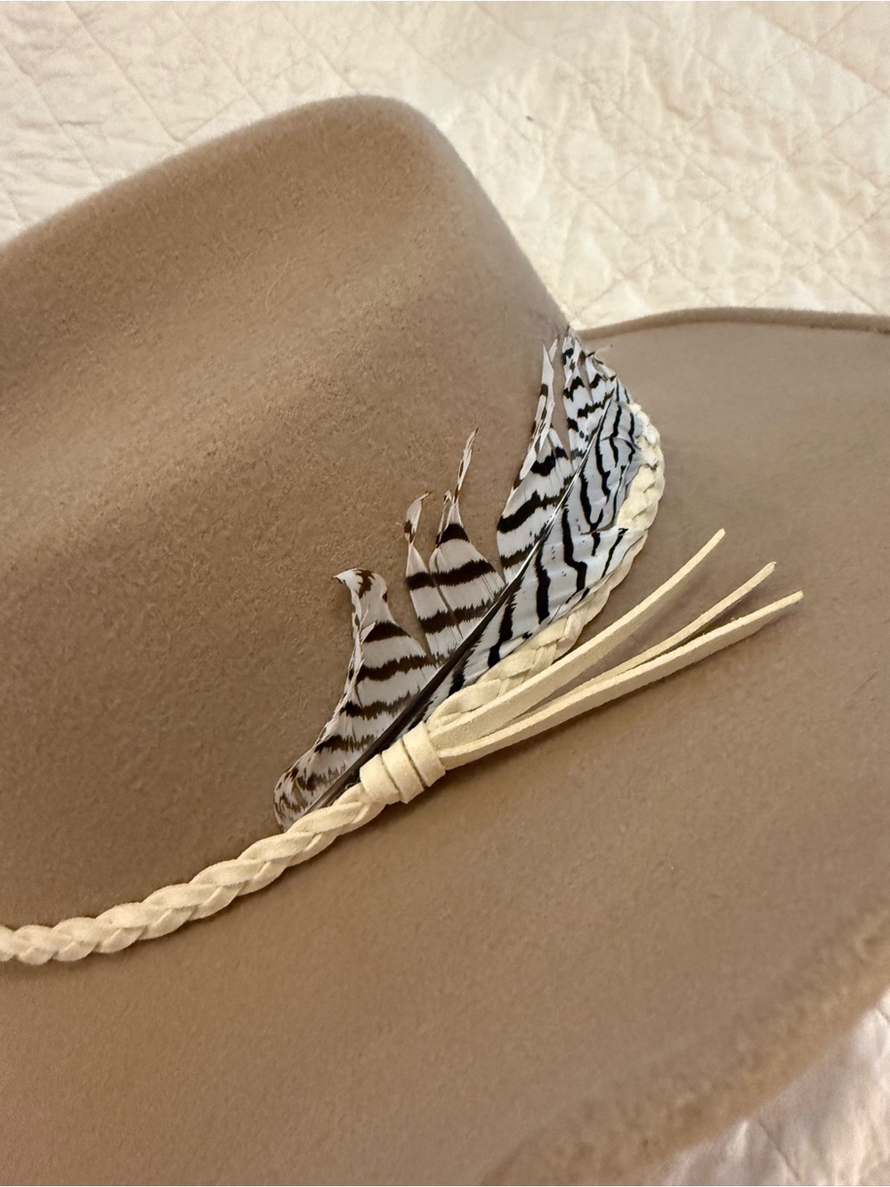 Beige Felt hat with Braided Band and Feather Accent